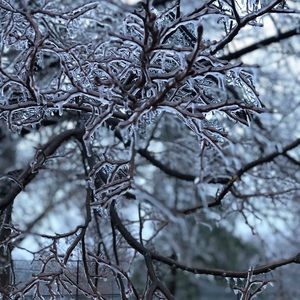 Meet your Posher, Jami